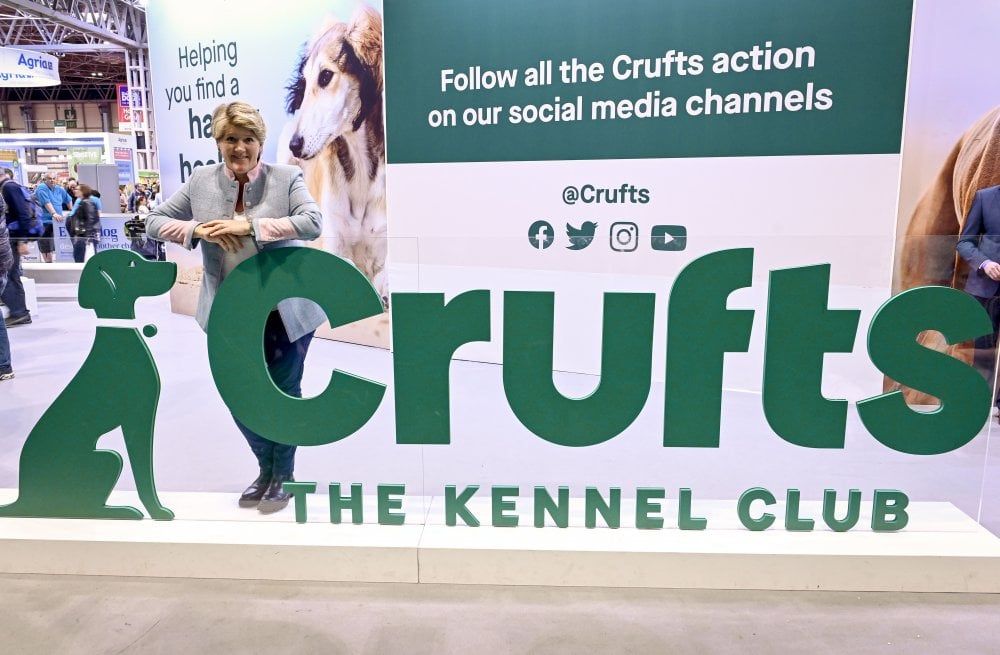 Crufts Comeback